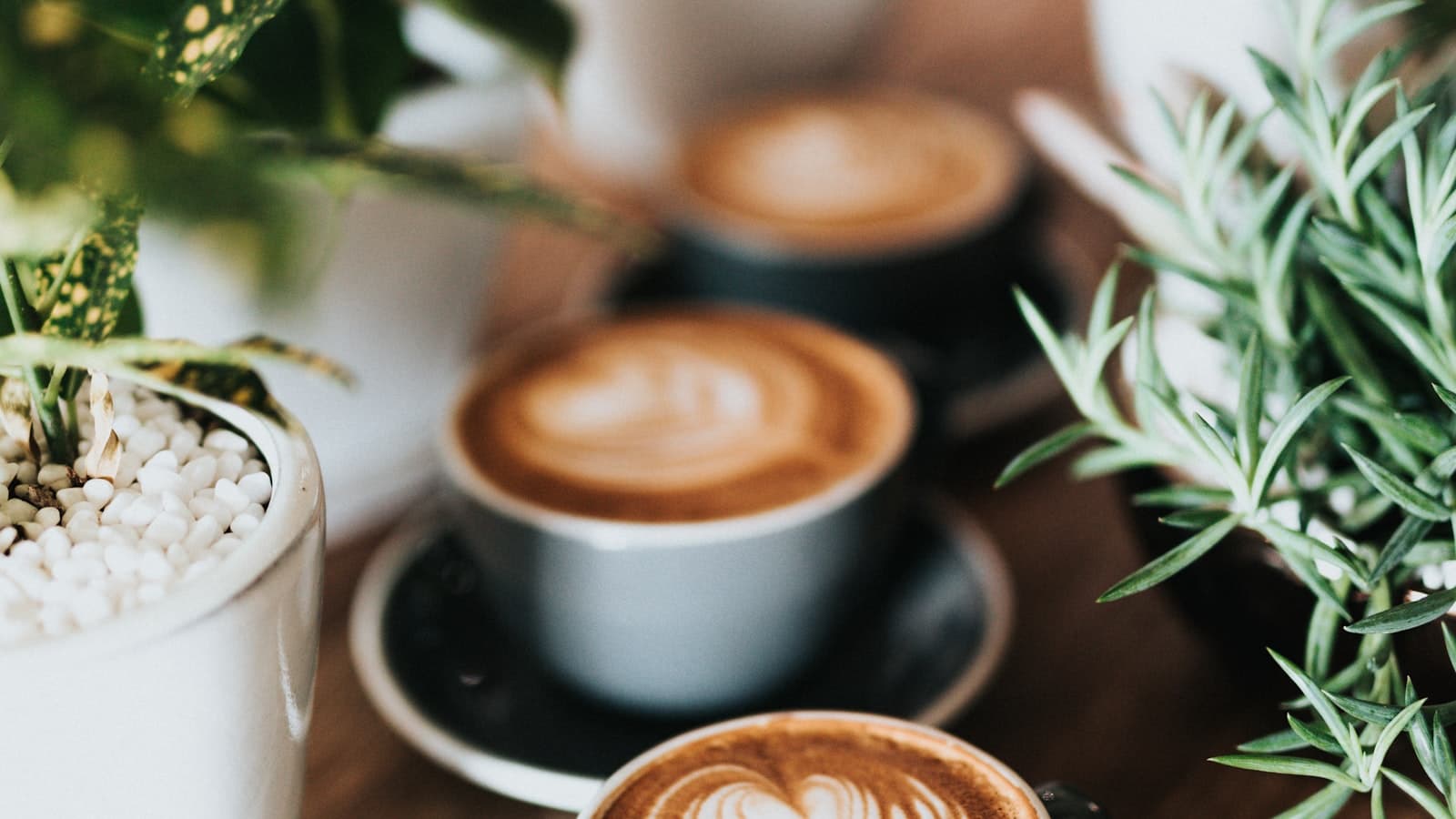 Le rituel du matin
