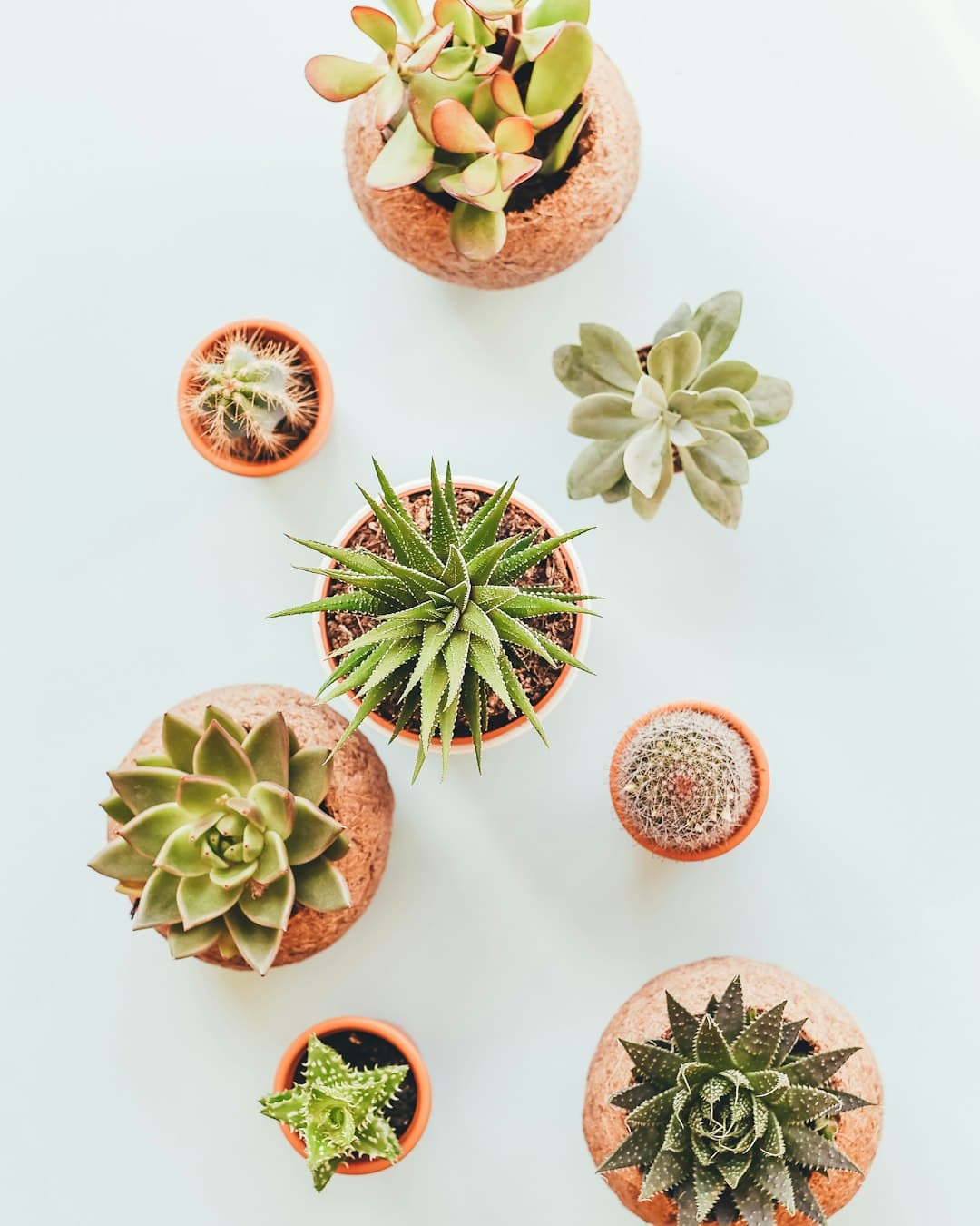 Cache-pot en terre cuite